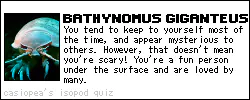 Bathynomus Giganteus Isopod - Casiopea's Isopod Quiz