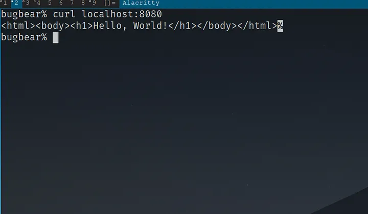 A screenshot of an Alacritty terminal shows the command `curl localhost:8080` being run. The server responds with the raw HTML `<html><body><h1>Hello, World!</h1></body></html>`, which is printed to the console on the same line as the prompt.