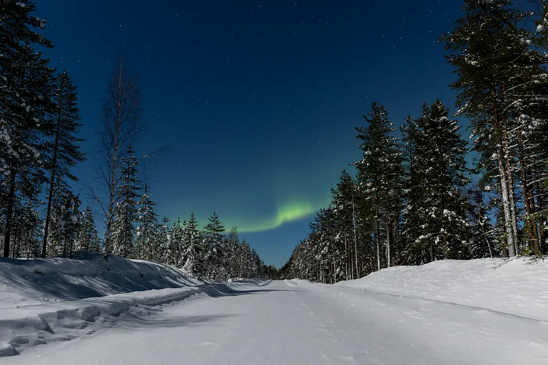 A snow-covered road cuts through a dark pine forest at night, with a faint green band of the aurora borealis visible in the starry sky above the treeline.
