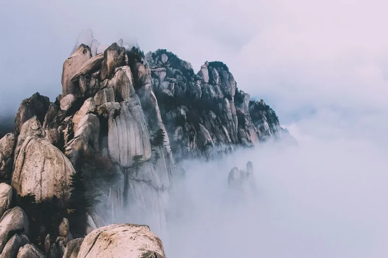 Photo by Alexandre Chambon on Unsplash