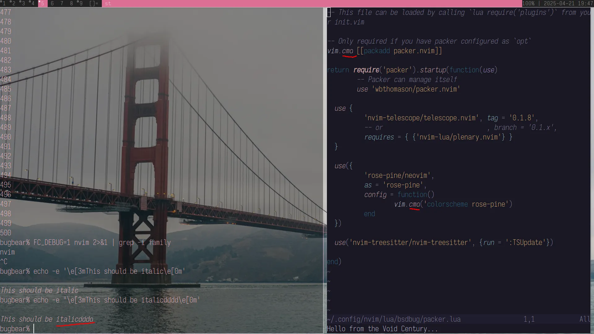 A split-screen view comparing neovim text editor and st terminal emulator, showing a glyph overdraw rendering bug affecting italic fonts that originates from st. The left terminal pane explicitly demonstrates the issue by running a command to print "This should be italicdddd", causing the final italic "d" character to be drawn partially outside of its bounding box and cut off as a result.